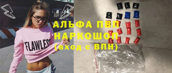 хмурый Алзамай
