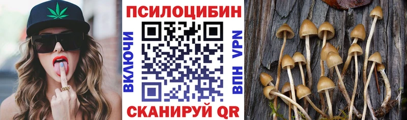 Галлюциногенные грибы мухоморы  Шацк 